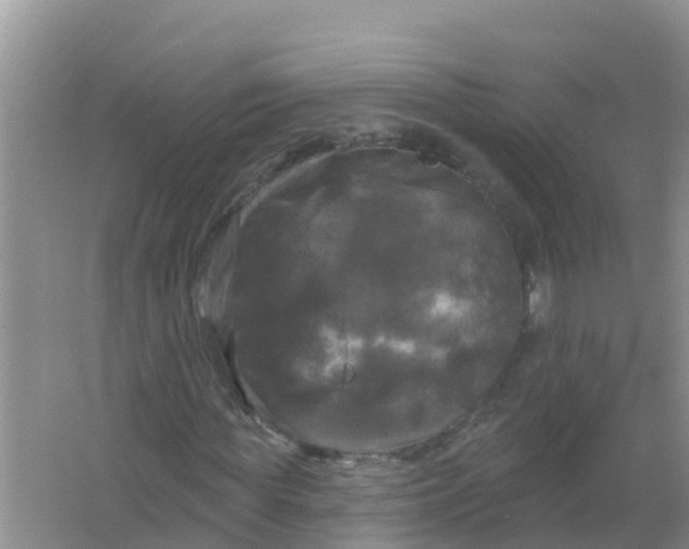 X0000066930819200604071844