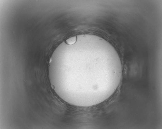 X0000066930820200604071844