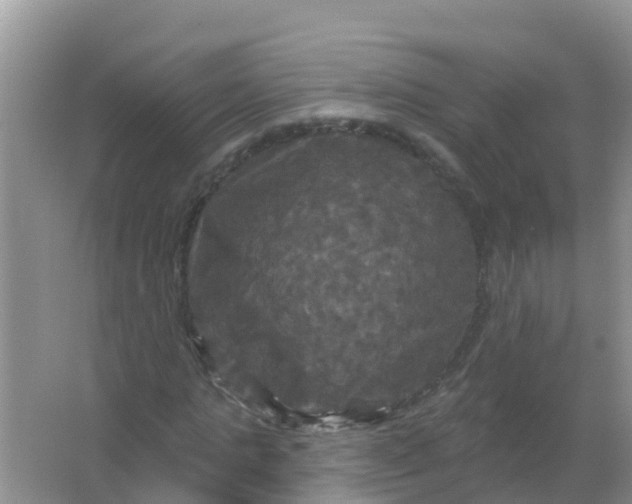 X0000066930821200604071844