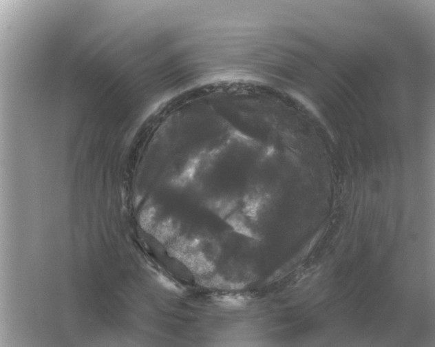 X0000066930823200604071844