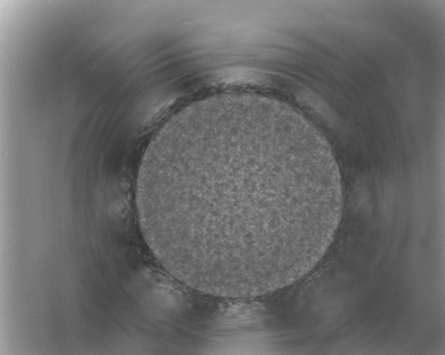 X0000066930824200604071844