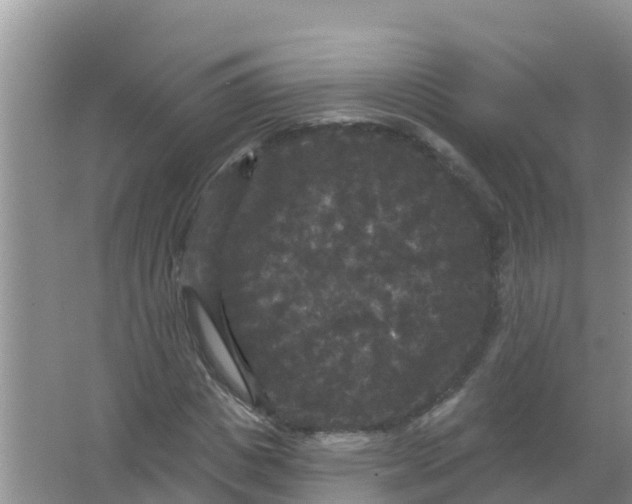 X0000066930825200604071844