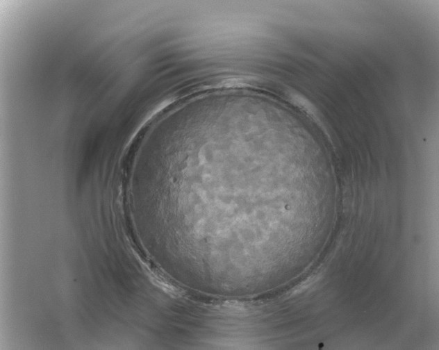 X0000066930827200604071844