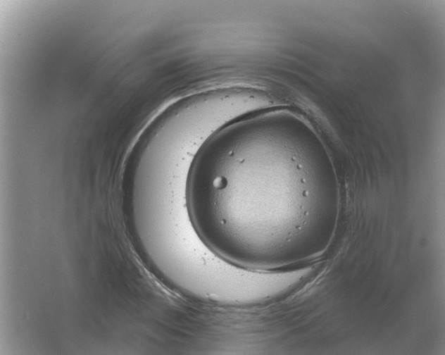 X0000066930828200604071844