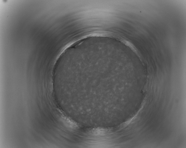 X0000066930829200604071844