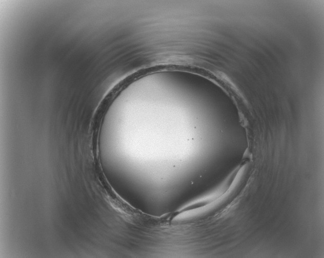 X0000066930830200604071844