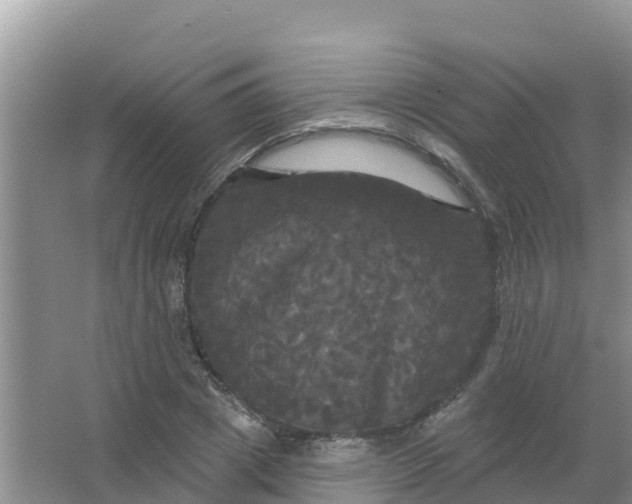 X0000066930833200604071844