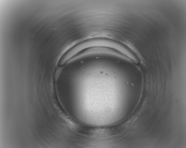 X0000066930834200604071844