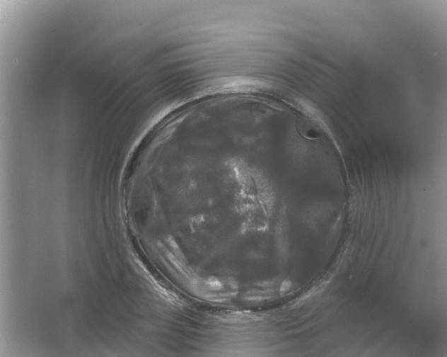 X0000066930835200604071844