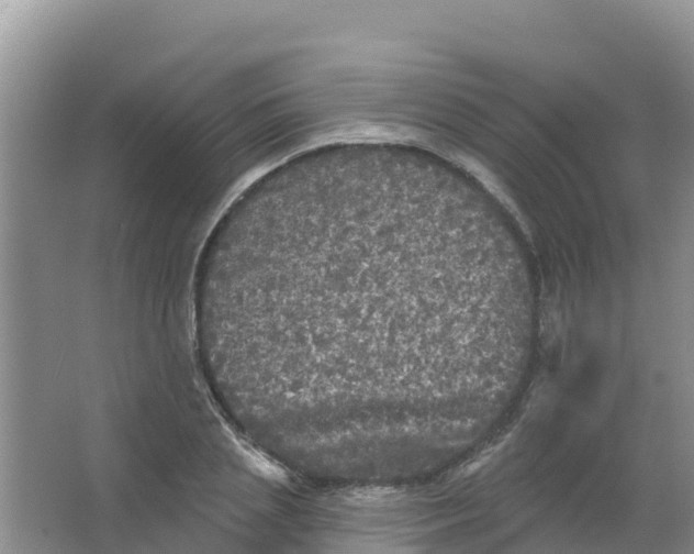 X0000066930837200604071844