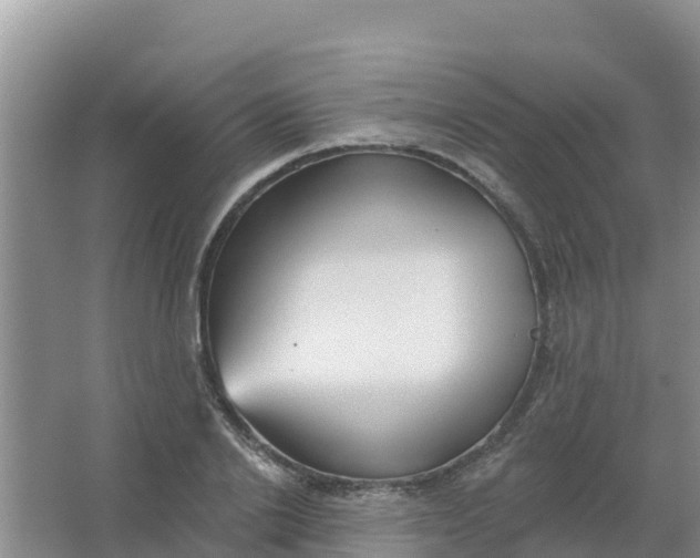 X0000066930838200604071844