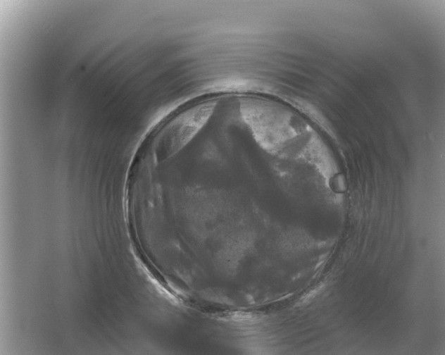 X0000066930839200604071844