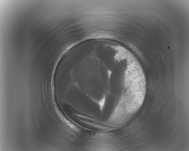 X0000066930840200604071844