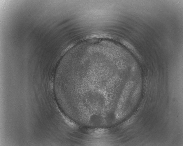 X0000066930841200604071844