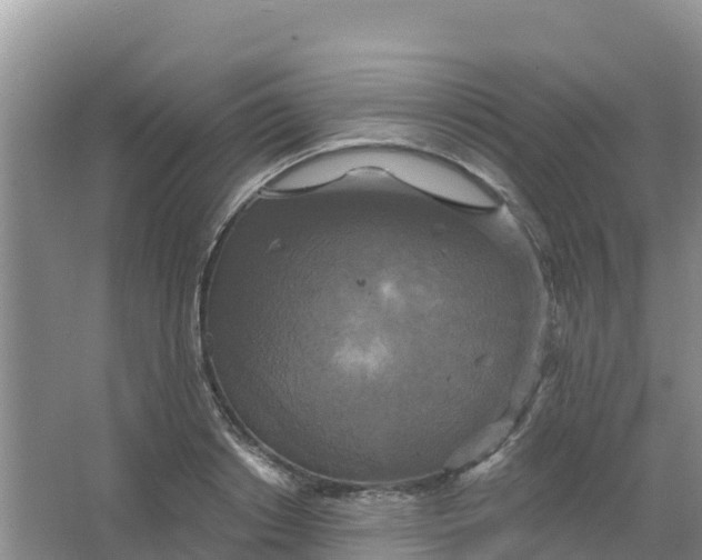 X0000066930842200604071844