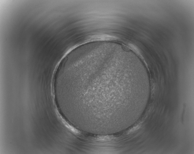 X0000066930843200604071844