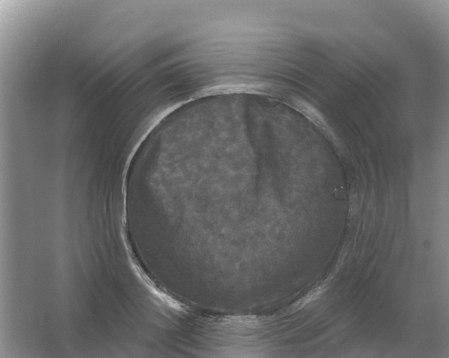 X0000066930844200604071844