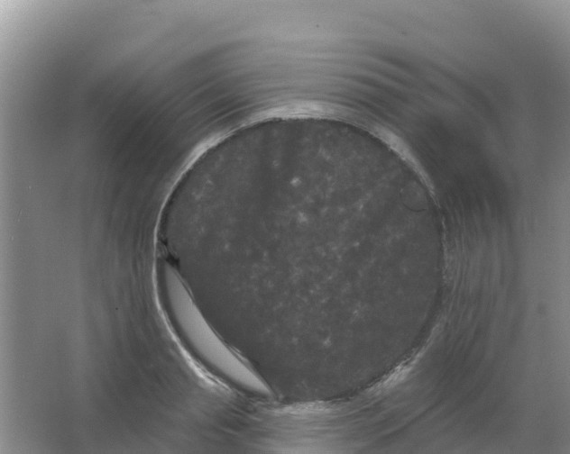 X0000066930845200604071844