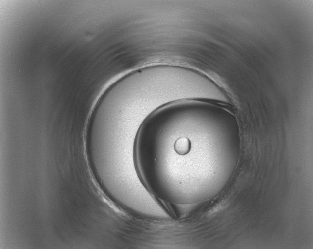 X0000066930846200604071844