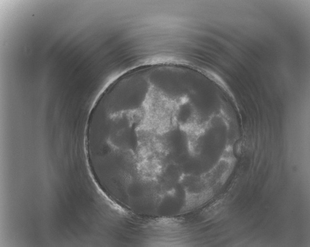 X0000066930847200604071844