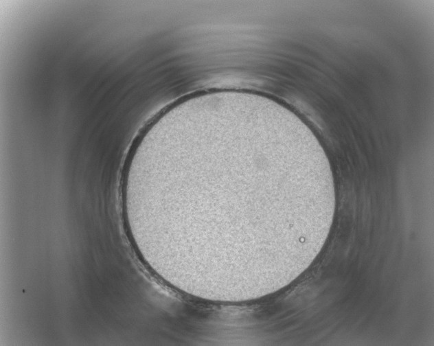 X0000066930848200604071844