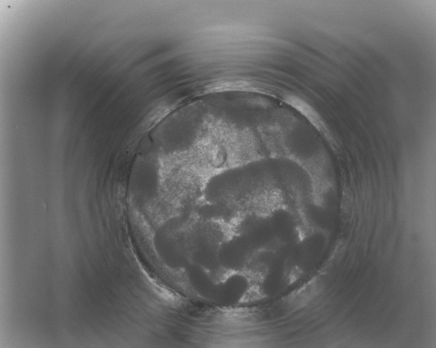 X0000066930849200604071844