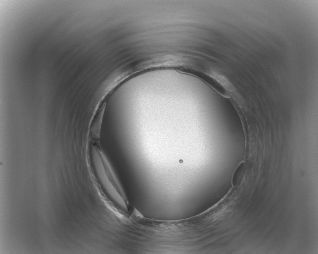 X0000066930850200604071844