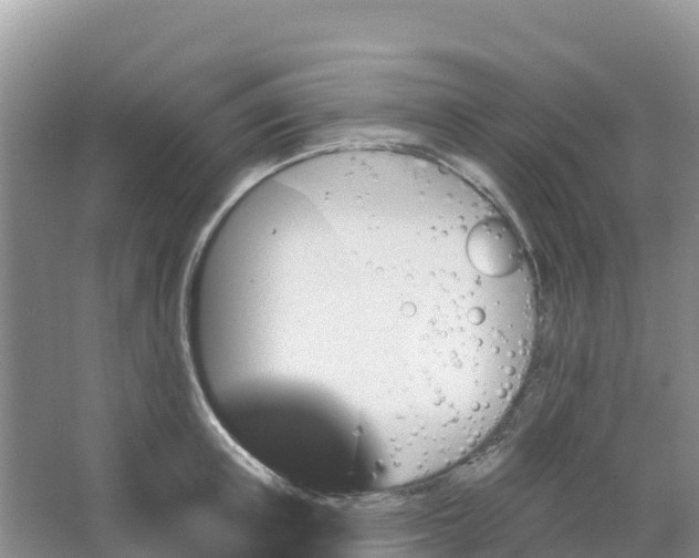 X0000066930851200604071844