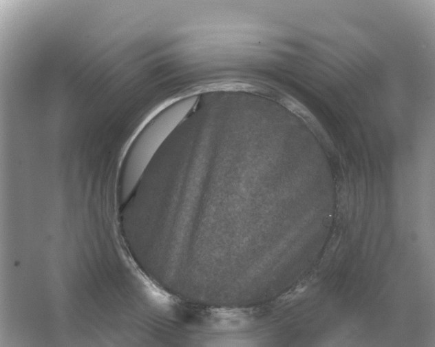 X0000066930852200604071844