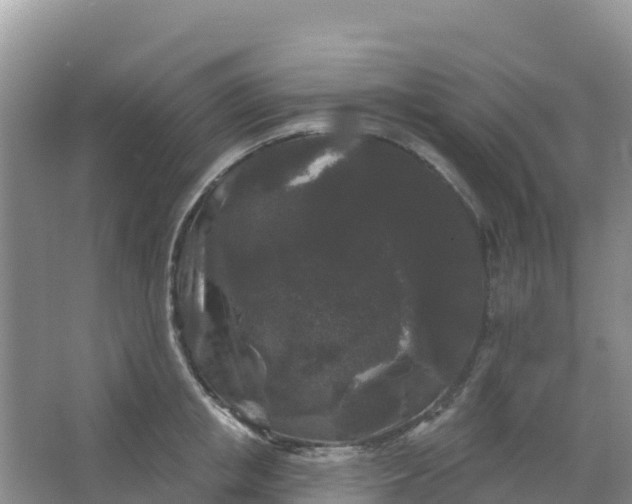 X0000066930853200604071844