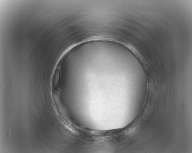 X0000066930854200604071844