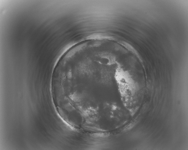 X0000066930855200604071844