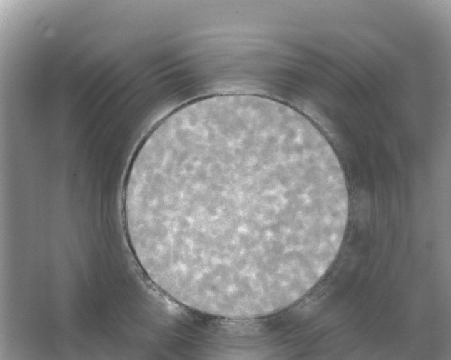 X0000066930856200604071844