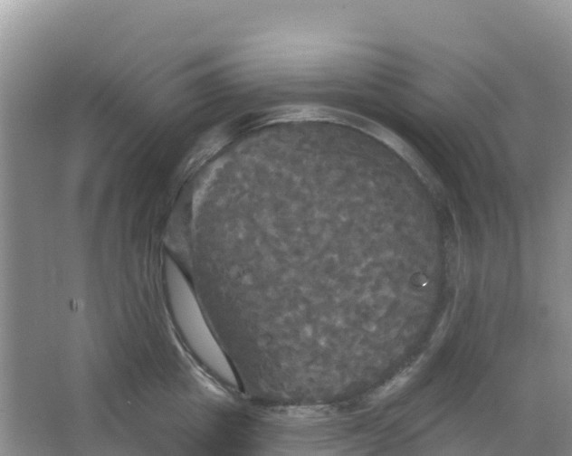 X0000066930857200604071844