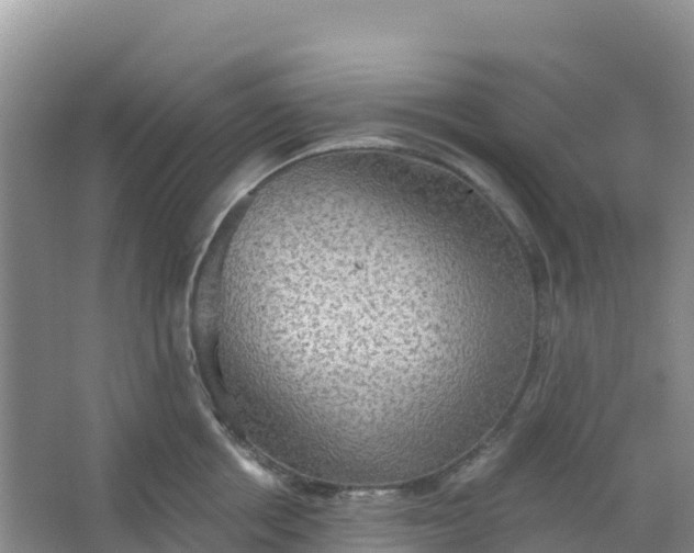 X0000066930858200604071844