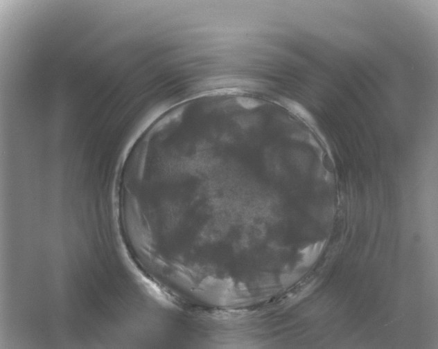 X0000066930859200604071844