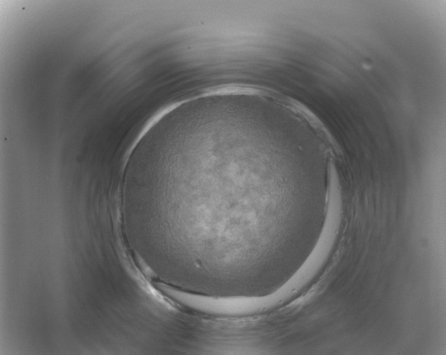 X0000066930860200604071844