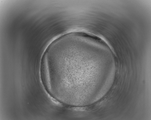 X0000066930861200604071844