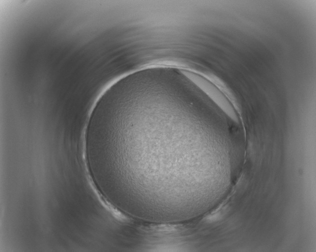 X0000066930862200604071844