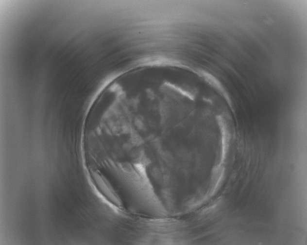 X0000066930863200604071844