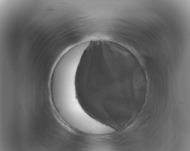 X0000066930864200604071844