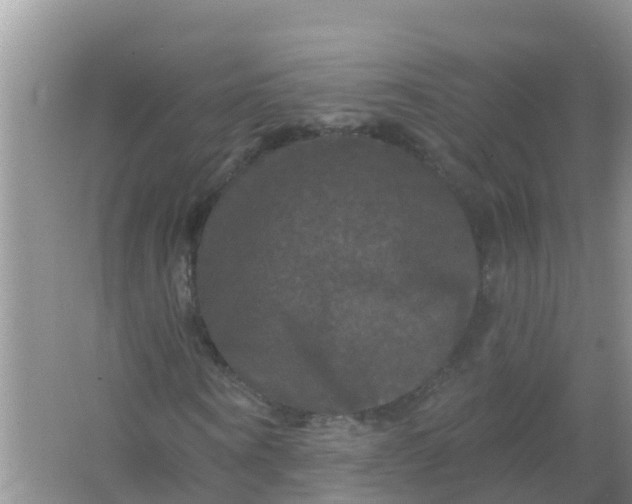 X0000066930866200604071844