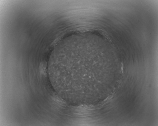 X0000066930867200604071844