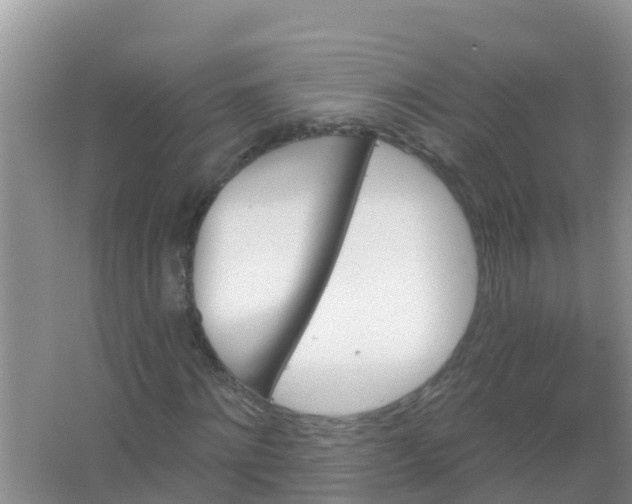 X0000066930868200604071844