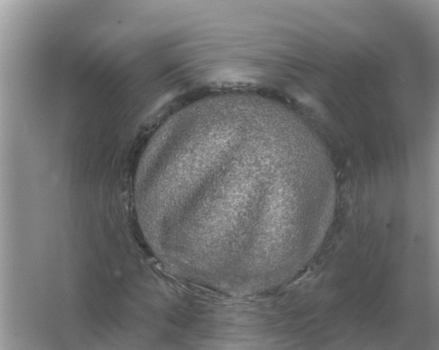 X0000066930870200604071844