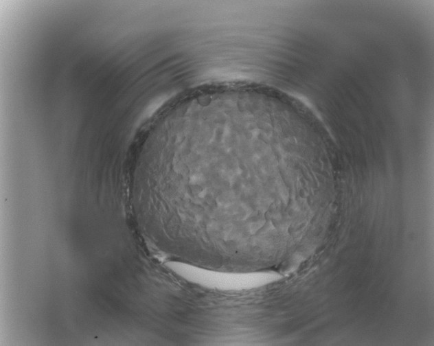 X0000066930871200604071844