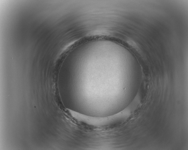 X0000066930872200604071844