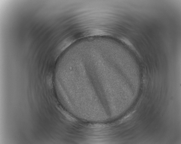 X0000066930873200604071844