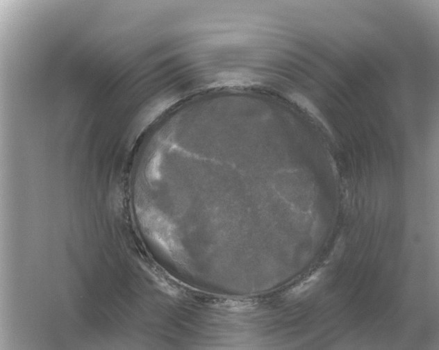 X0000066930874200604071844