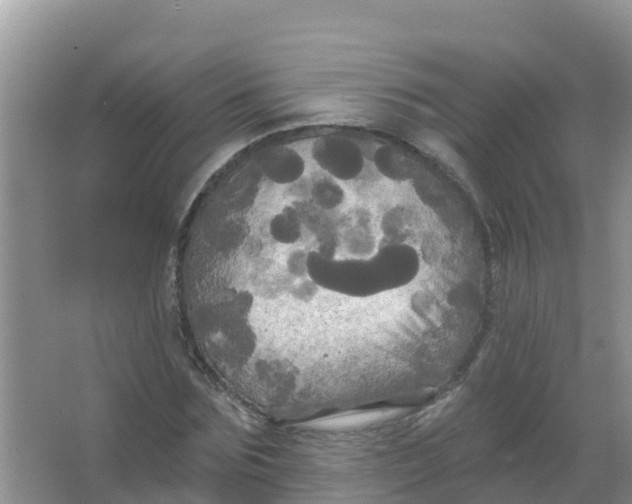 X0000066930875200604071844